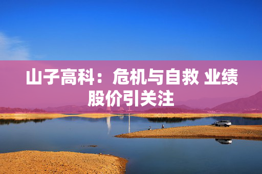 山子高科：危机与自救 业绩股价引关注