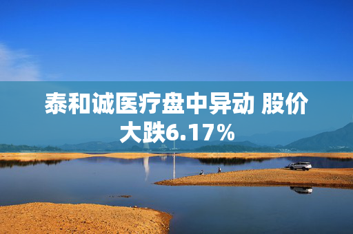 泰和诚医疗盘中异动 股价大跌6.17%