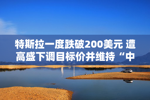 特斯拉一度跌破200美元 遭高盛下调目标价并维持“中性”评级