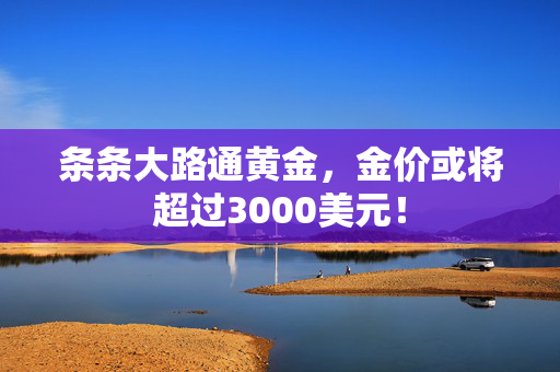 条条大路通黄金，金价或将超过3000美元！