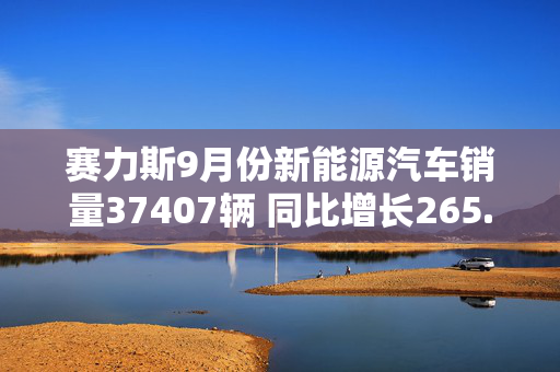 赛力斯9月份新能源汽车销量37407辆 同比增长265.09%