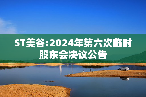 ST美谷:2024年第六次临时股东会决议公告