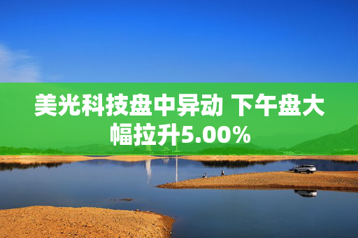 美光科技盘中异动 下午盘大幅拉升5.00%