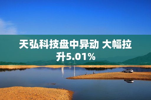 天弘科技盘中异动 大幅拉升5.01%