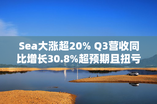 Sea大涨超20% Q3营收同比增长30.8%超预期且扭亏为盈