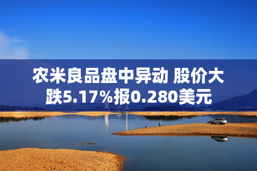 农米良品盘中异动 股价大跌5.17%报0.280美元