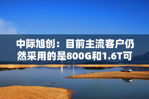 中际旭创：目前主流客户仍然采用的是800G和1.6T可插拔光模块